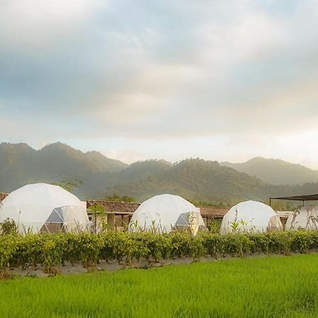 Borobudur Luxury Glamping Magelang Exterior photo