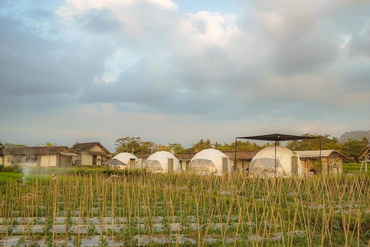 Borobudur Luxury Glamping Magelang Exterior photo